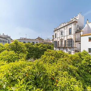 Hotel Rey Don Pedro Luxury